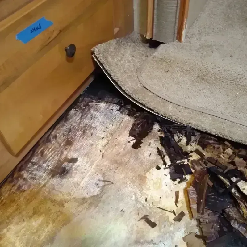 Best Wood Floor Water Damage Service in Addison, NY